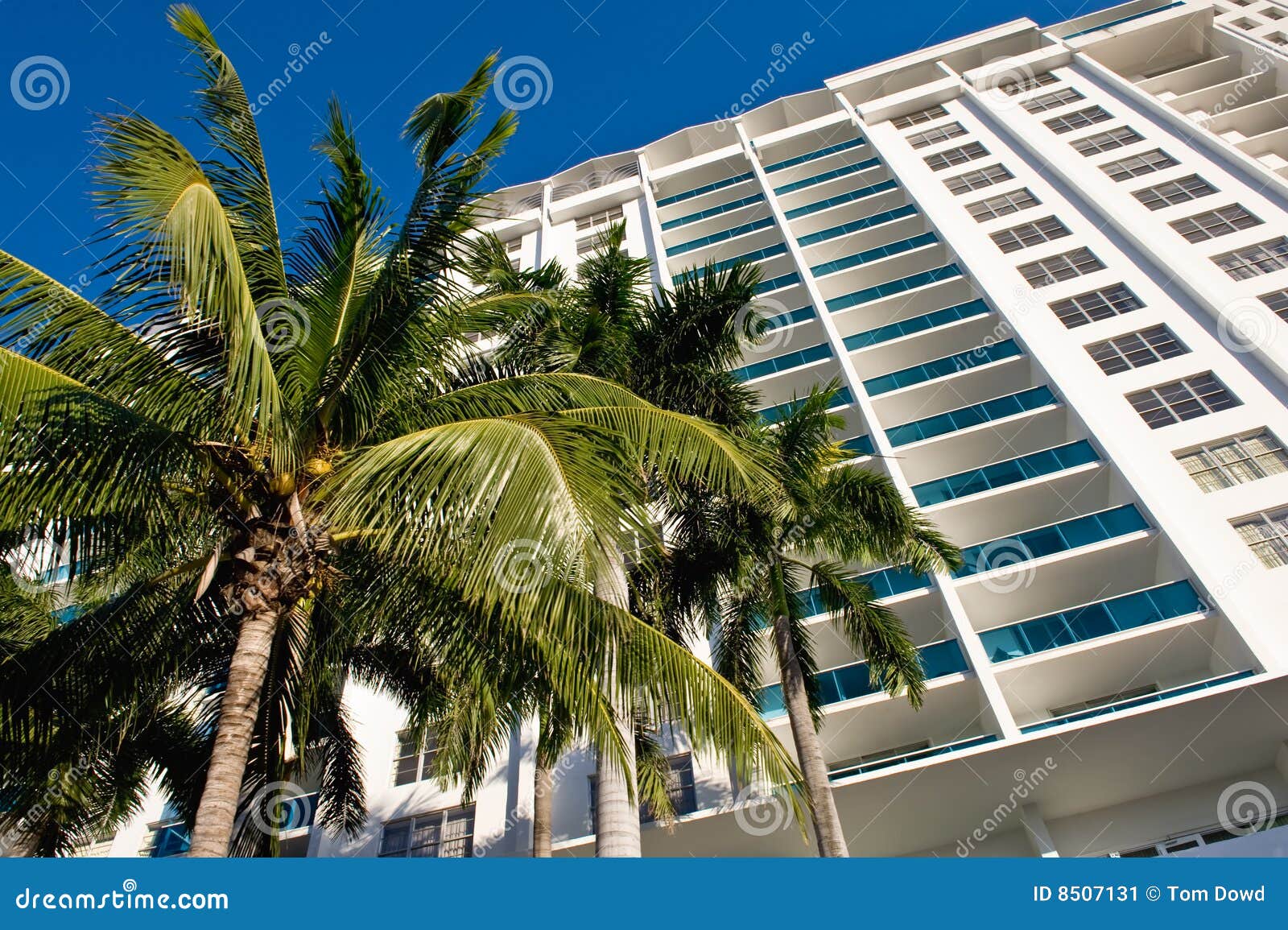 miami condominium