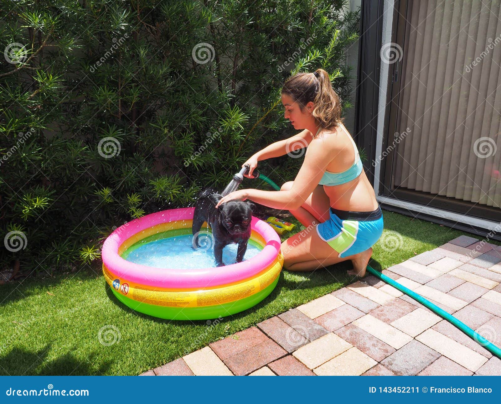 pug inflatable pool