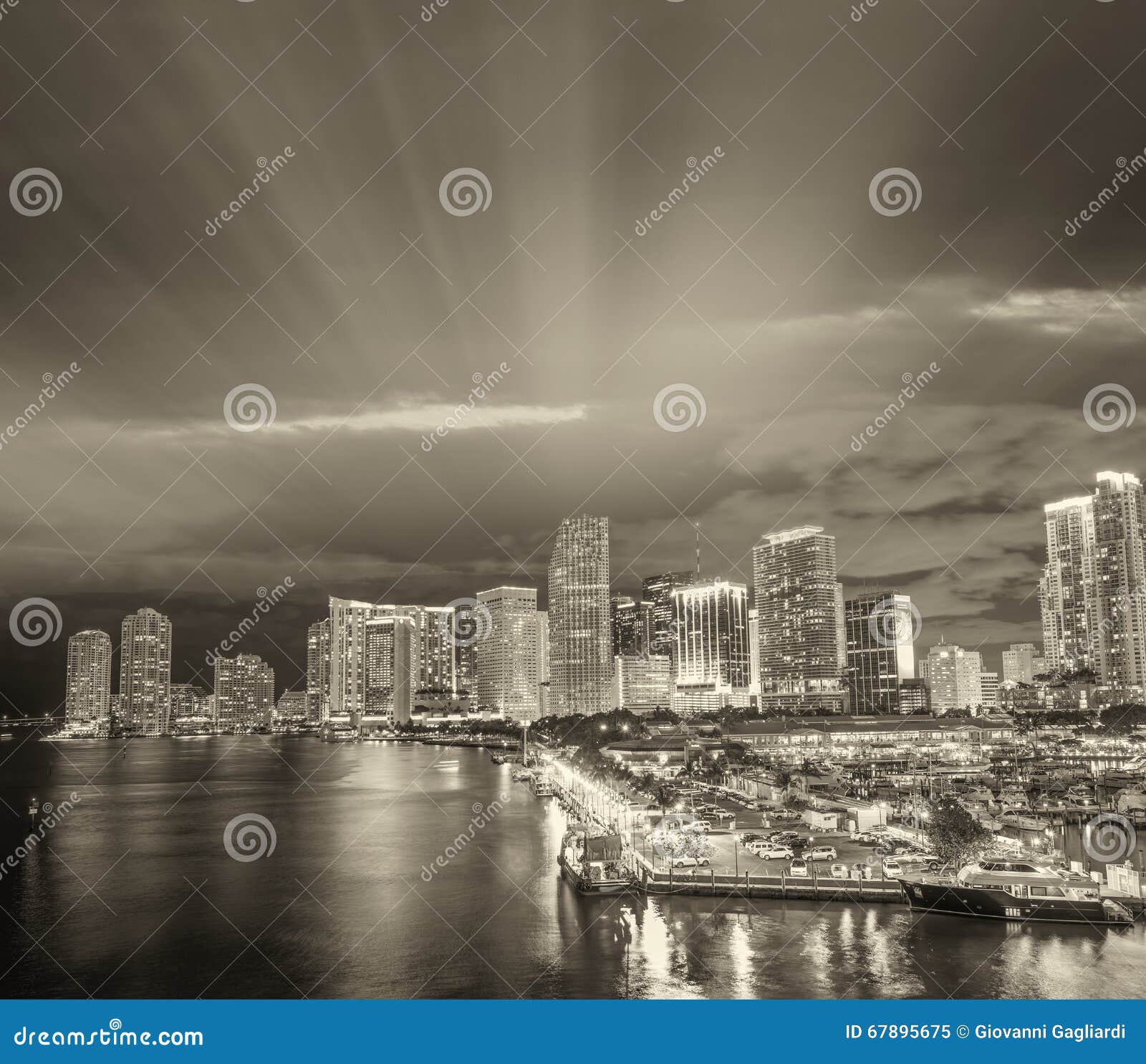 Miami Skyline In Schwarzweiss Florida Usa Stockbild Bild Von Skyline Miami