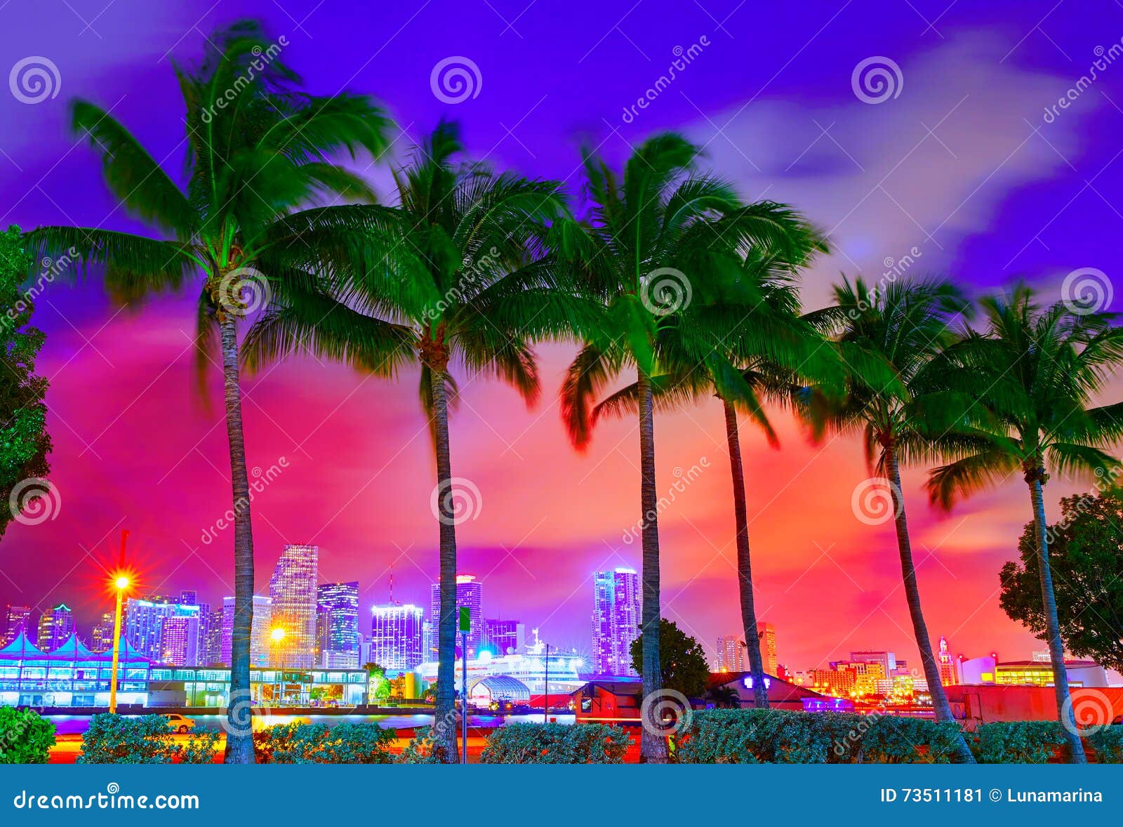 miami skyline sunset with palm trees florida