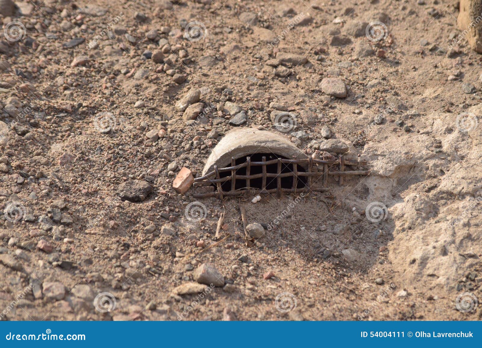 Mice prison stock image. Image of drainage, rodents, metal 54004111