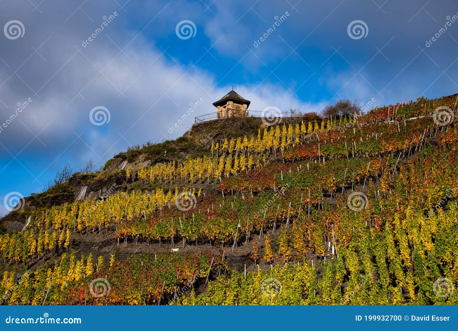 the `michaelskapelle` in mayschoss with vineyards in autumn