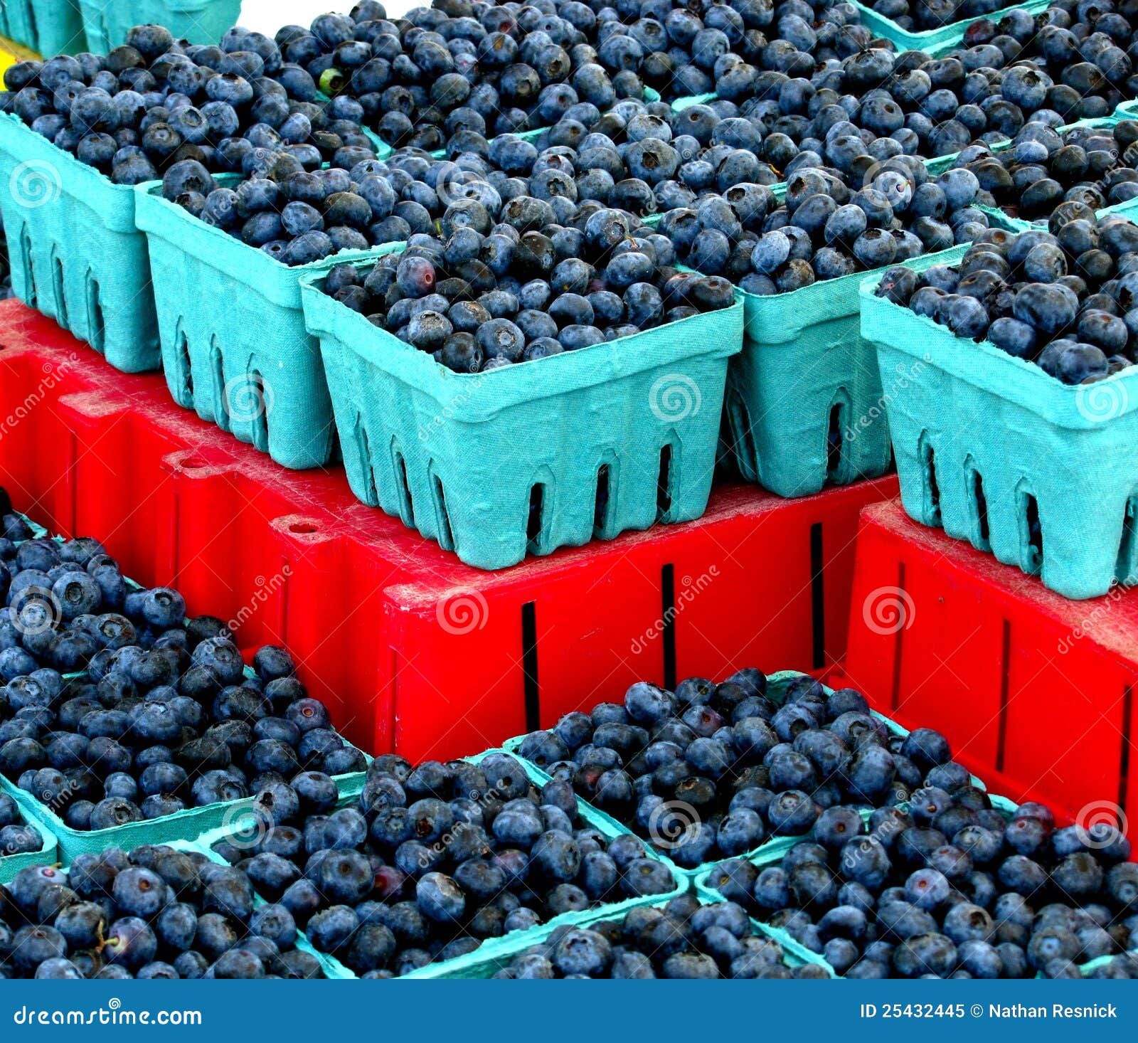 Michigan blueberries stock image. Image of michigan, color 25432445