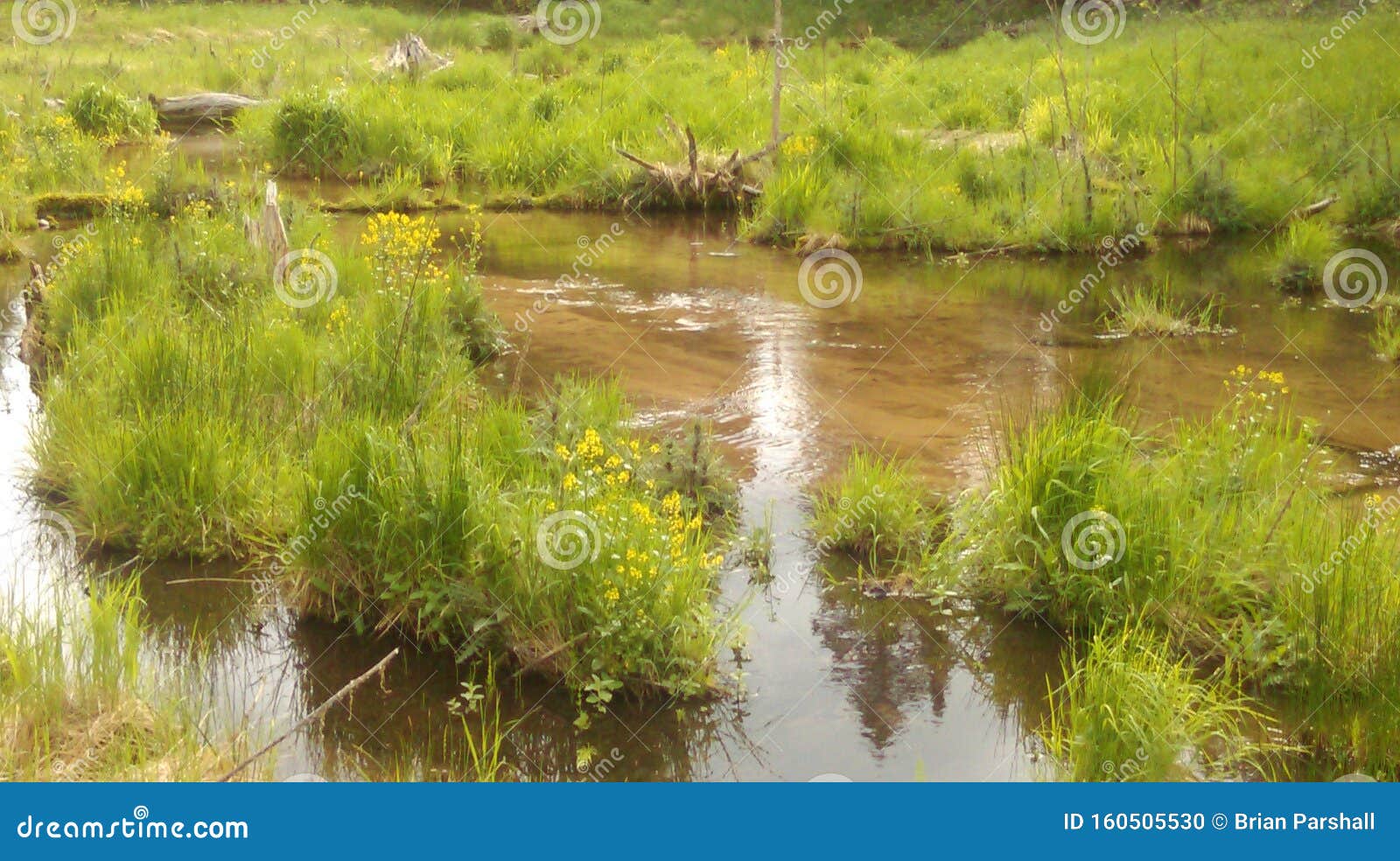 Michigan Morning River Bliss Upper Pennisula Stock Photo Image of