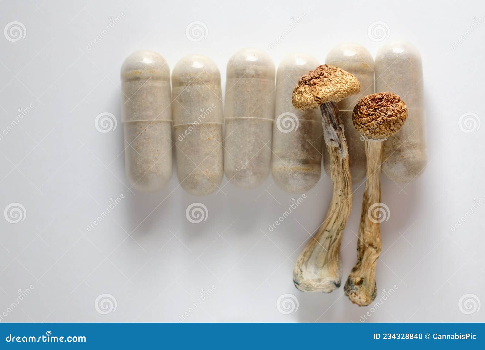 micro dosing concept. dry psilocybin mushrooms and natural herbal pills on white background.