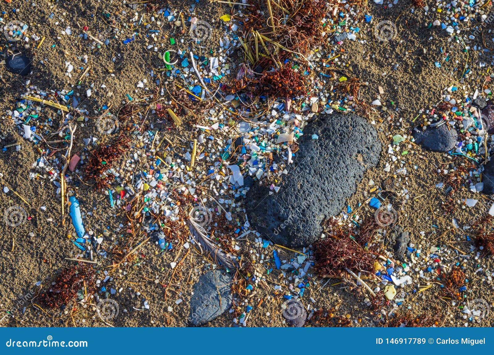 Micro Plastics Mixed in the Sand of the Beach Stock Image Image of