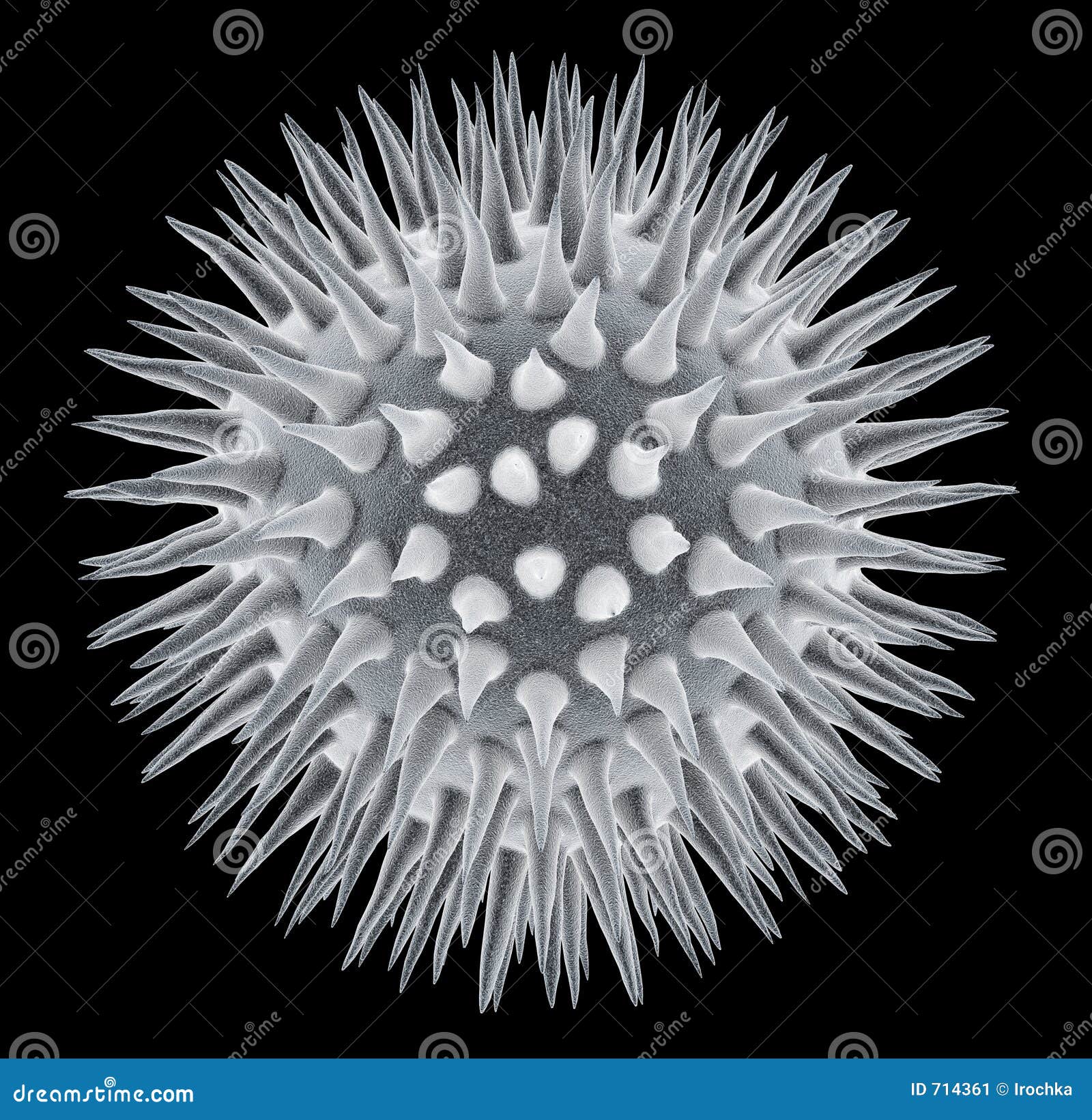 microbe