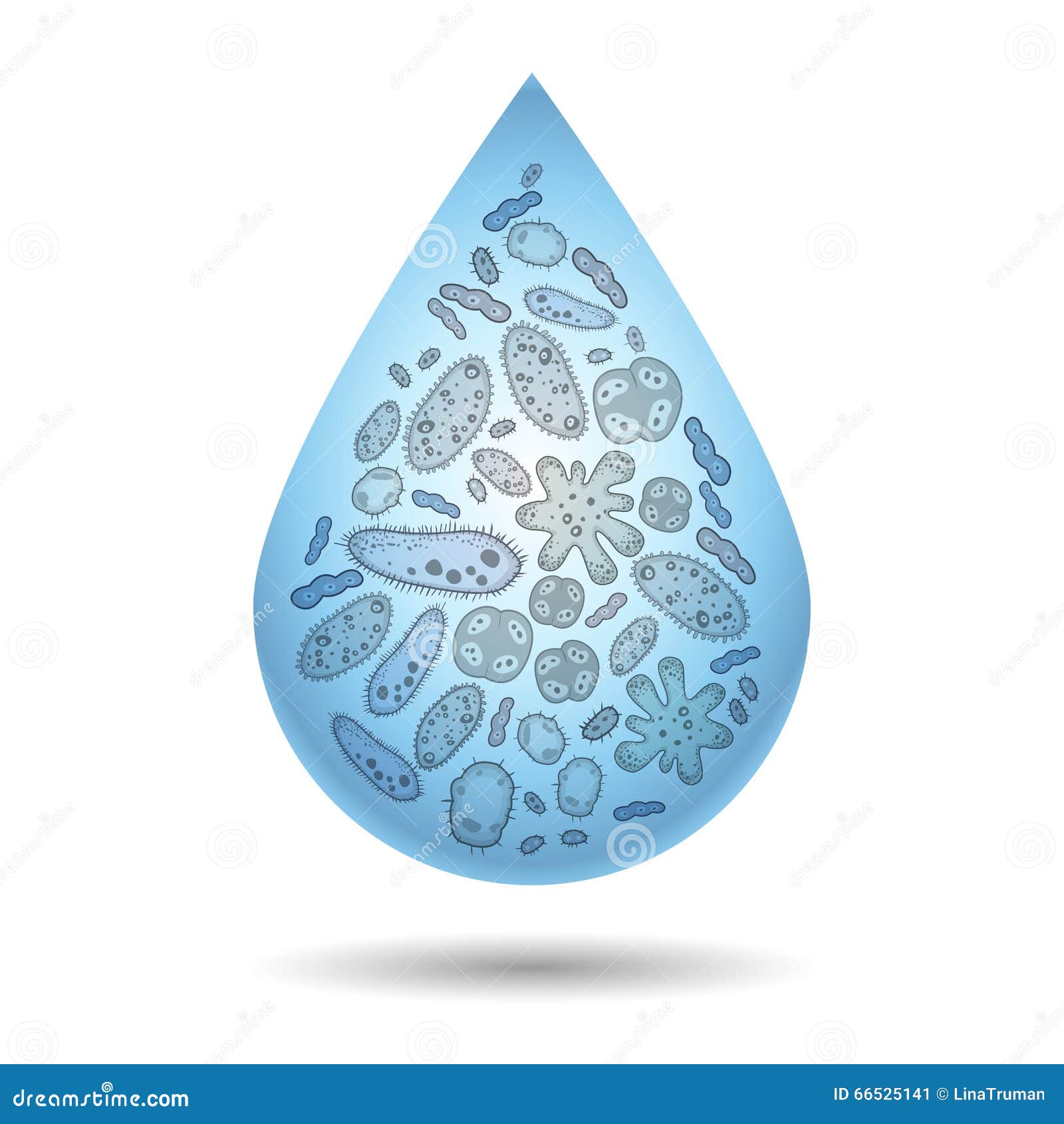 Microbes, Bacteria And Virus In Drop Of Dirty Water, Infection Stock