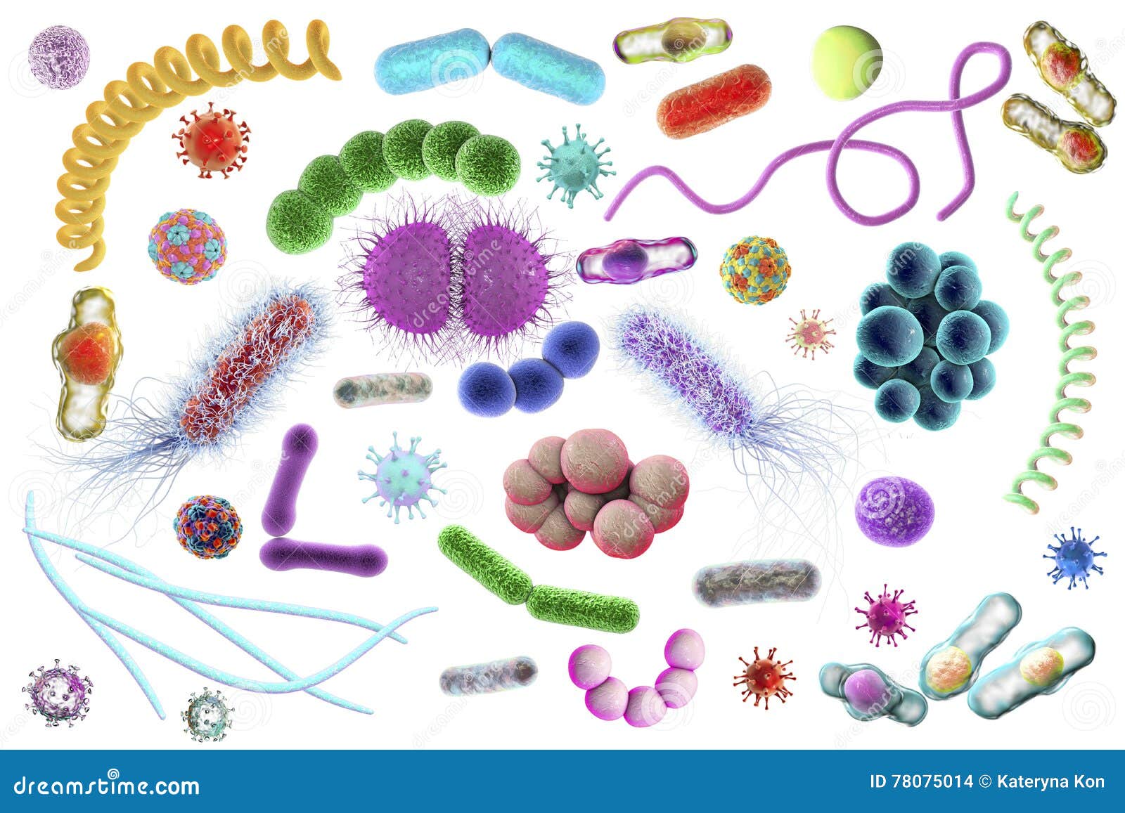 microbes of different s