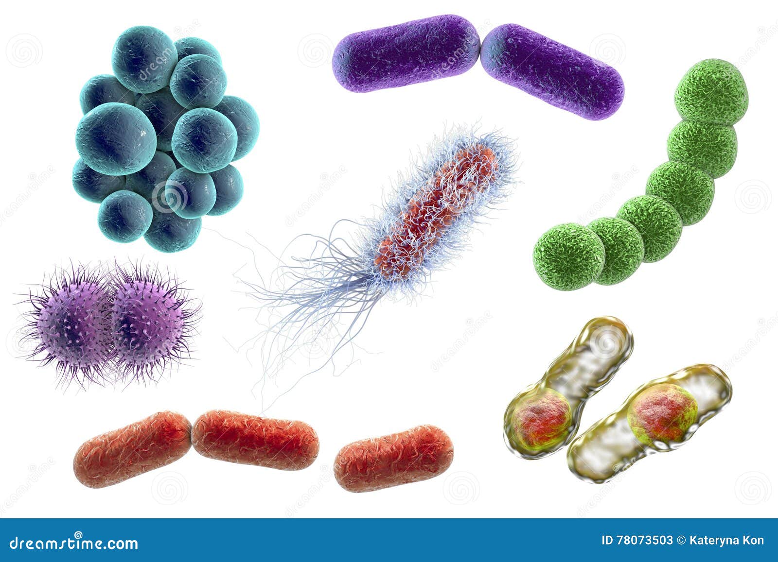 microbes of different s