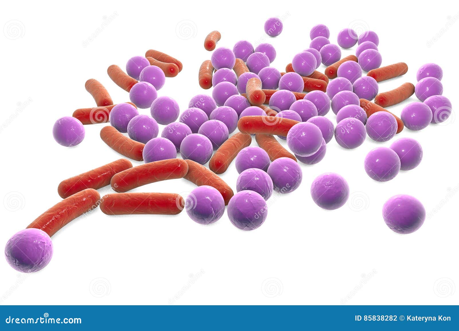 microbes of different s