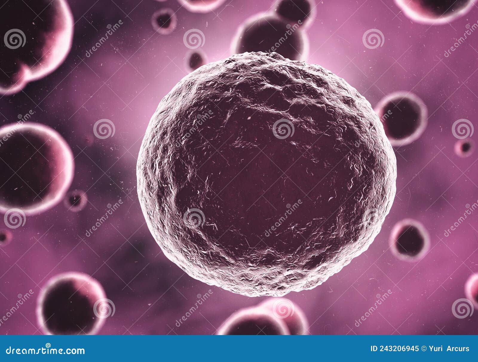 Microbes Magnified. Image of Bacteria As Seen Under a Microscope. Stock Image Image of zoom