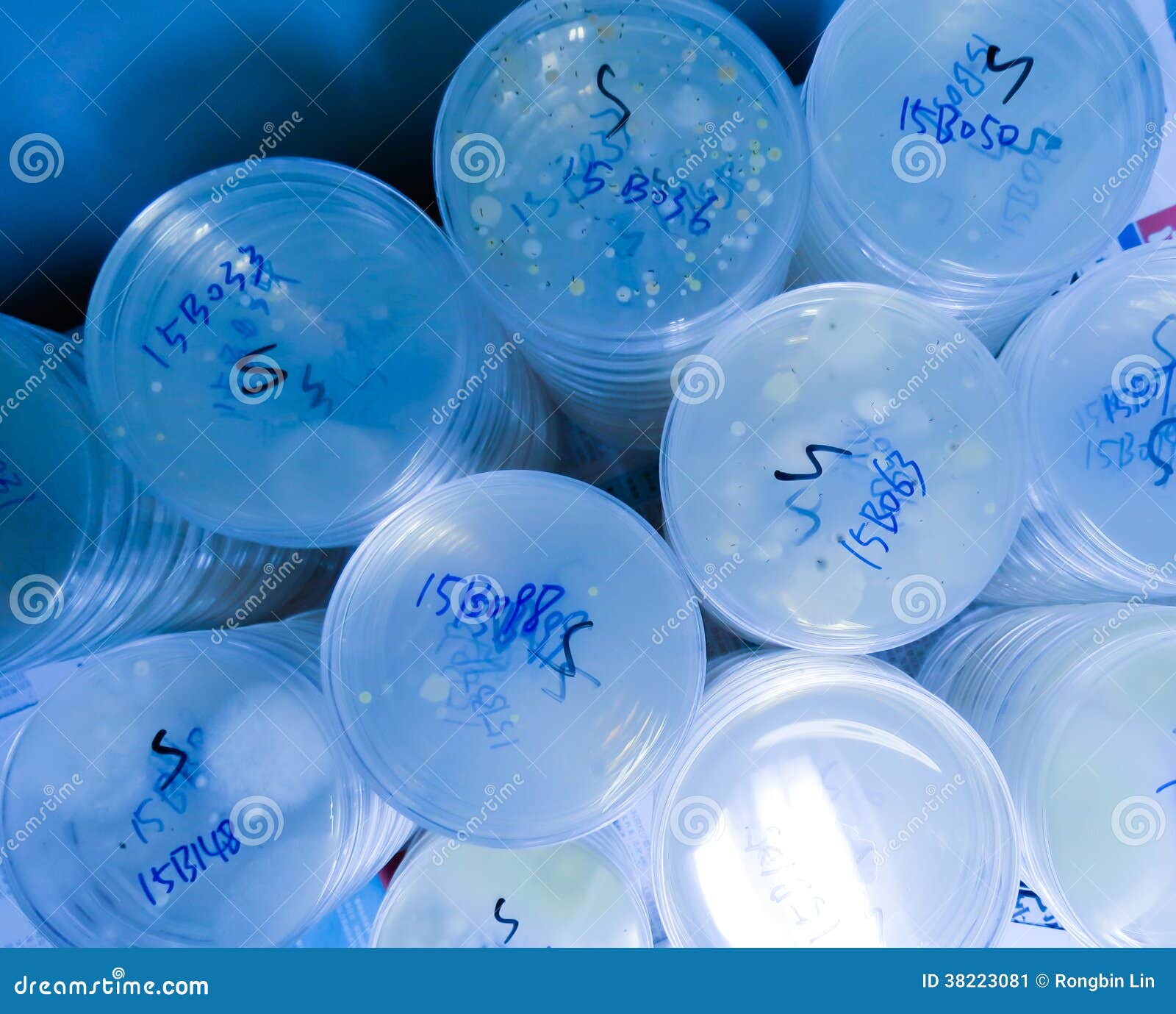 Microbiological Media stock image. Image of printing 38223081