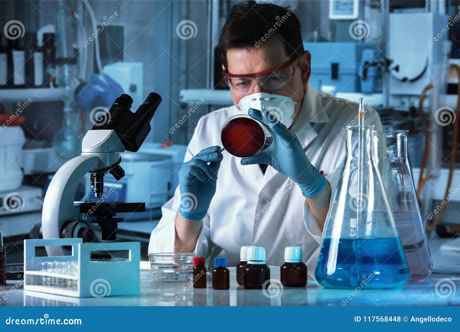 microbiologist whit inoculation loops cultivating petri dish be