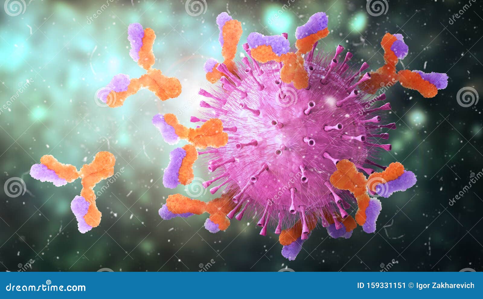microbiology. antibodies attack virus