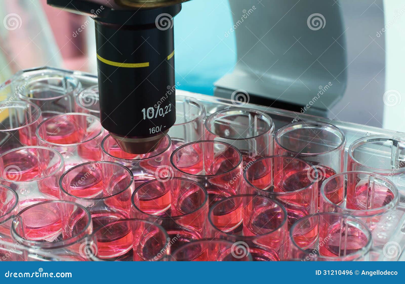 Microbiology laboratory stock photo. Image of analyzing 31210496