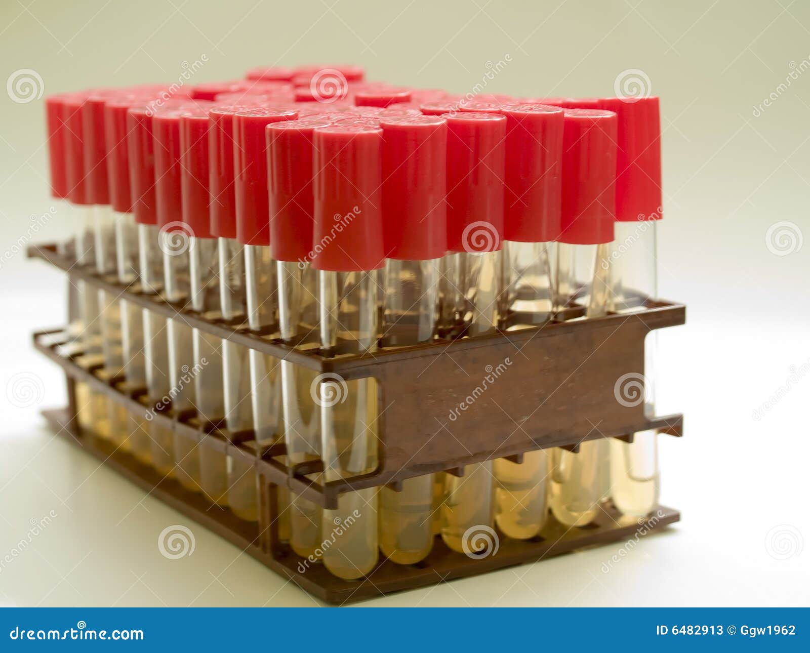 Microbiology Media Stock Photos Image 6482913