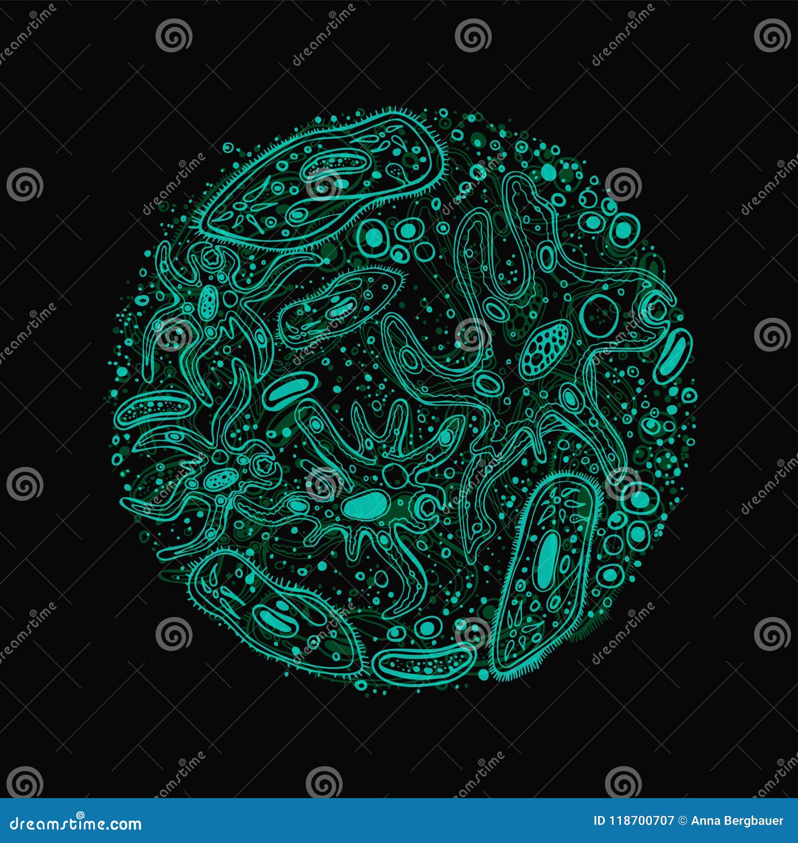 microorganism hand drawn image