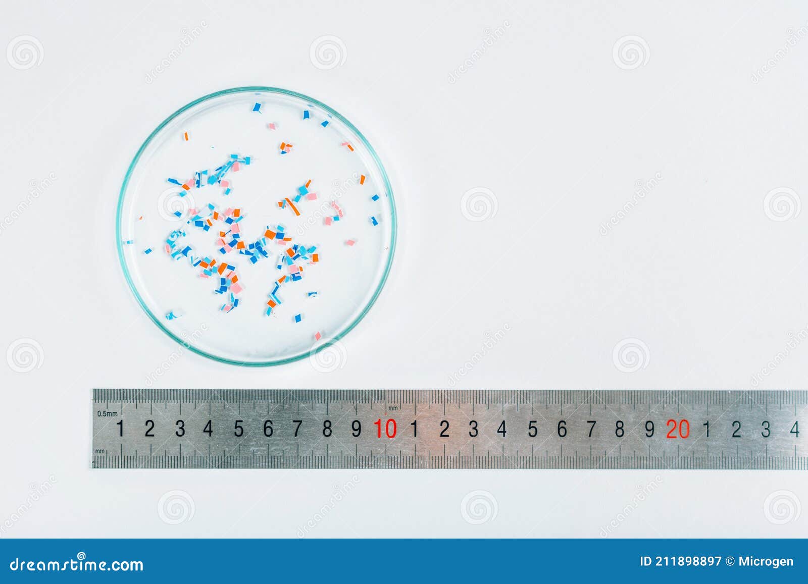 Microplastics in Petri Dish Stock Image Image of isolated, fragments