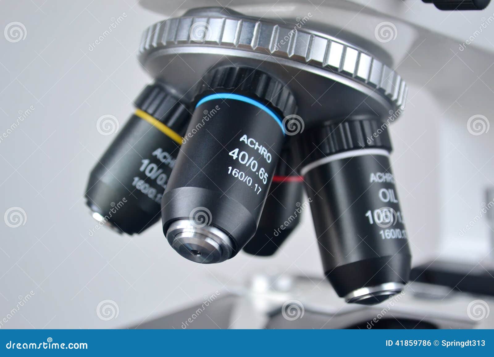 microscope closeup