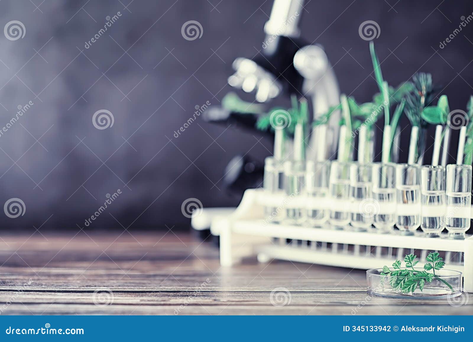 microscope and test partings on the table in the laboratory.