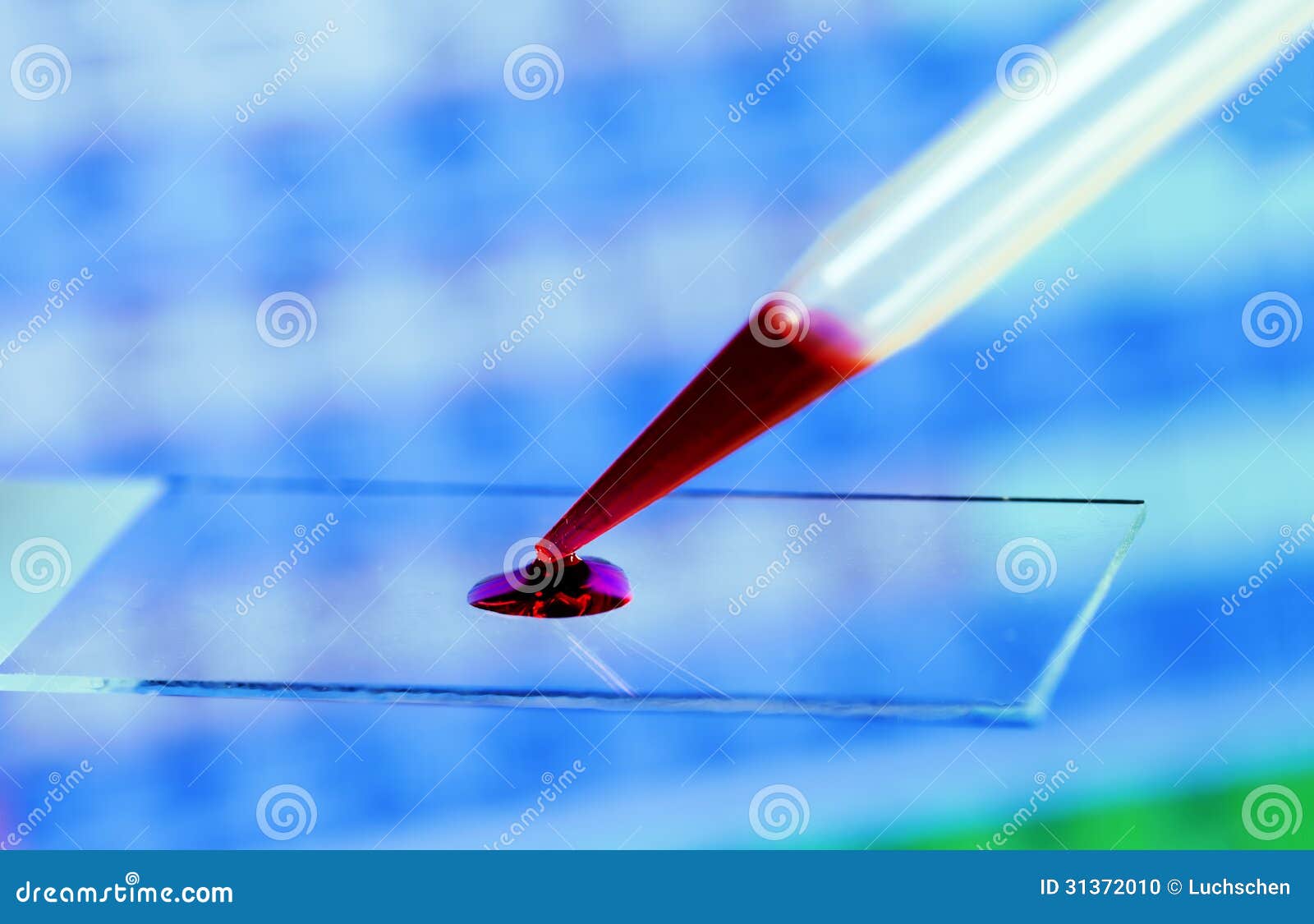 Microscope slide stock photo. Image of biology, laboratory 31372010