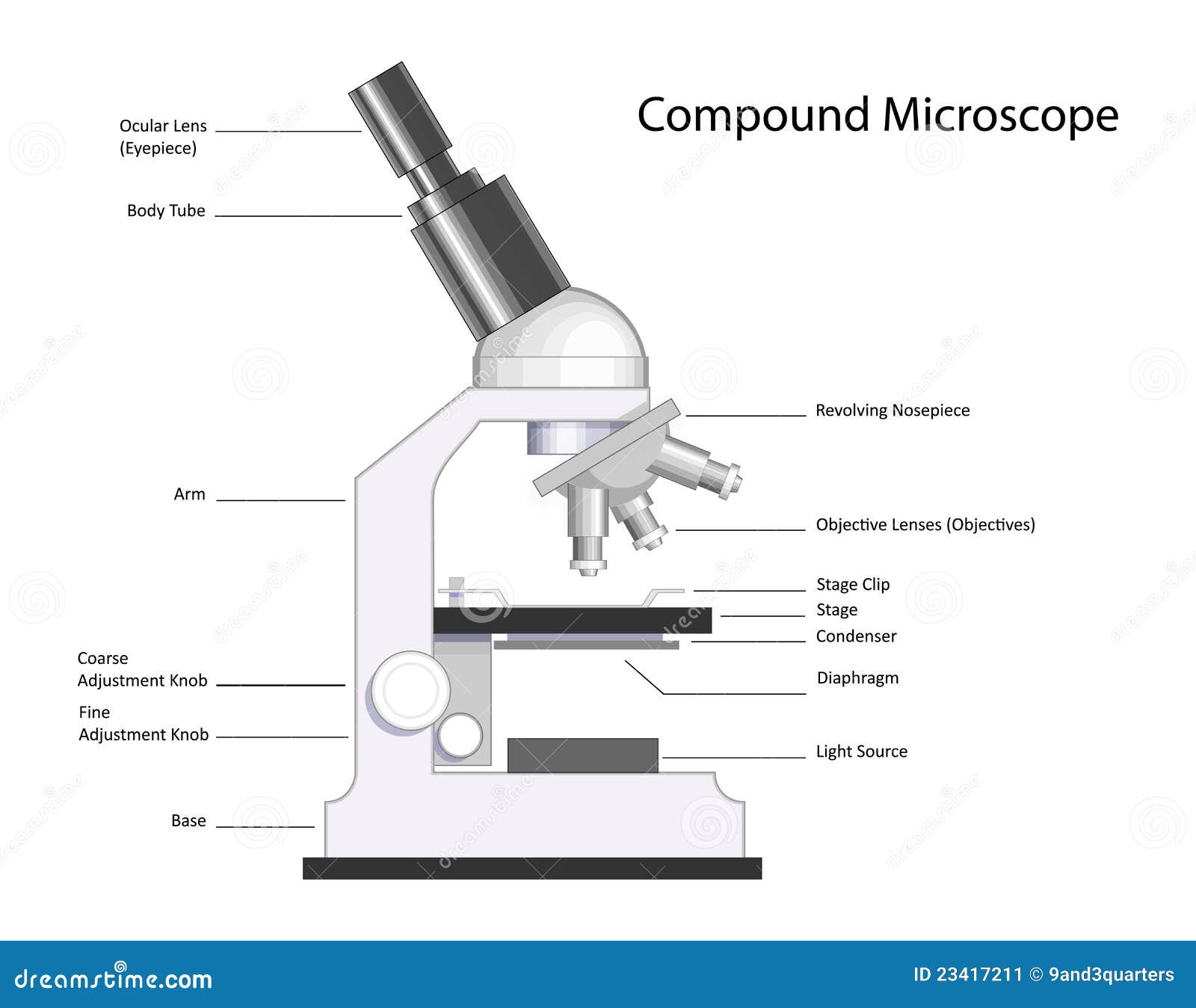 Microscopio Compuesto Ilustraciones Stock, Vectores, Y Clipart – (1,029  Ilustraciones Stock)