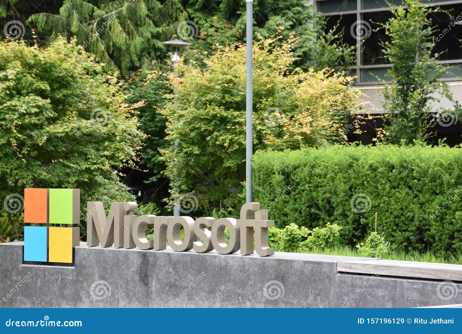 How to Enable the GPEditmsc on Windows 10 and 11 Home