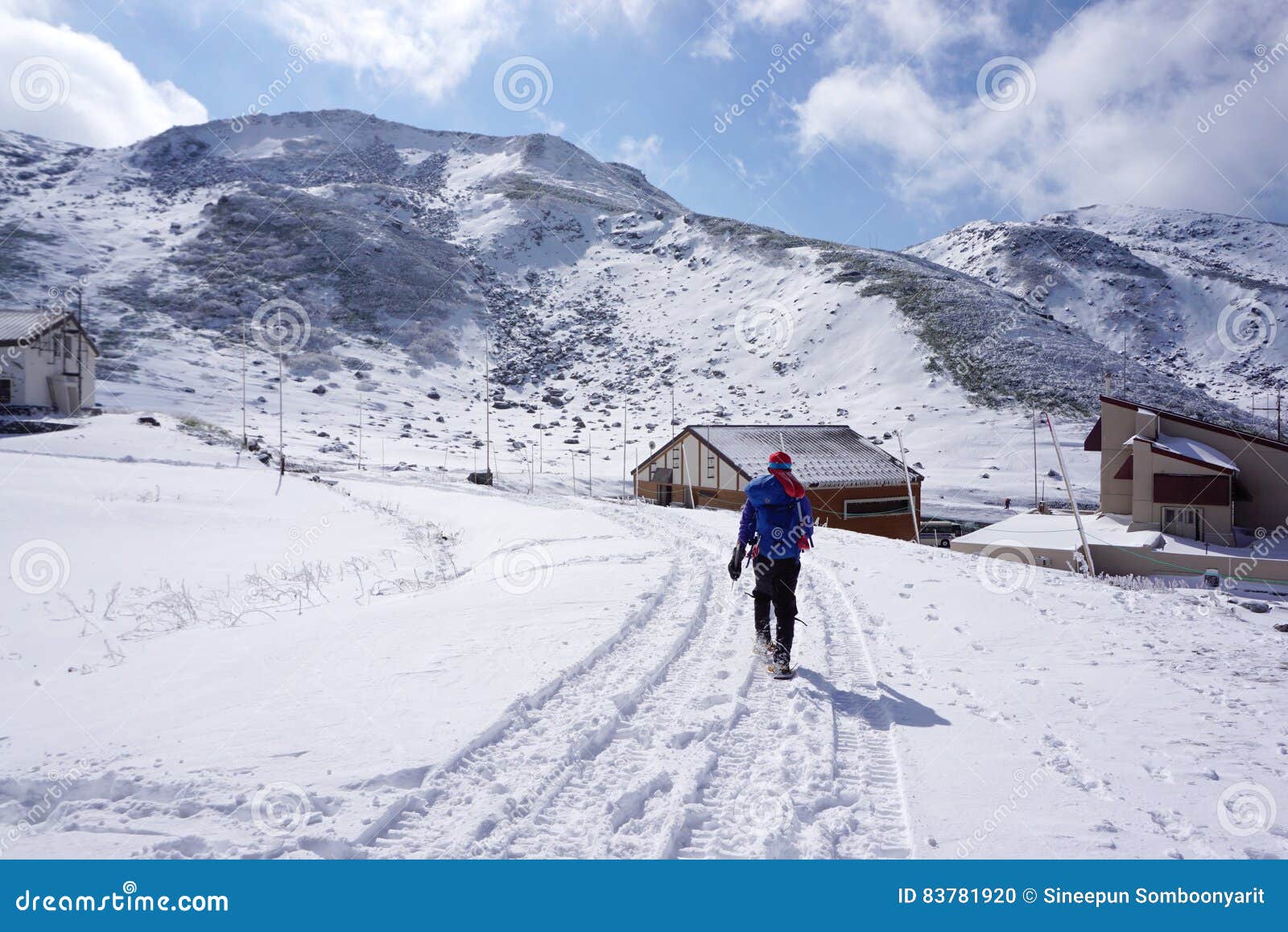 Midagahara领域在11月有雪山背景库存照片 图片包括有 7819 Midagahara领域在11月有雪山背景库存照片 图片包括有 7819
