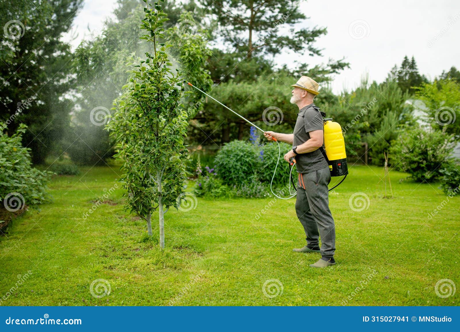 middle age gardener with a mist fogger sprayer sprays fungicide and pesticide on bushes and trees. protection of cultivated plants