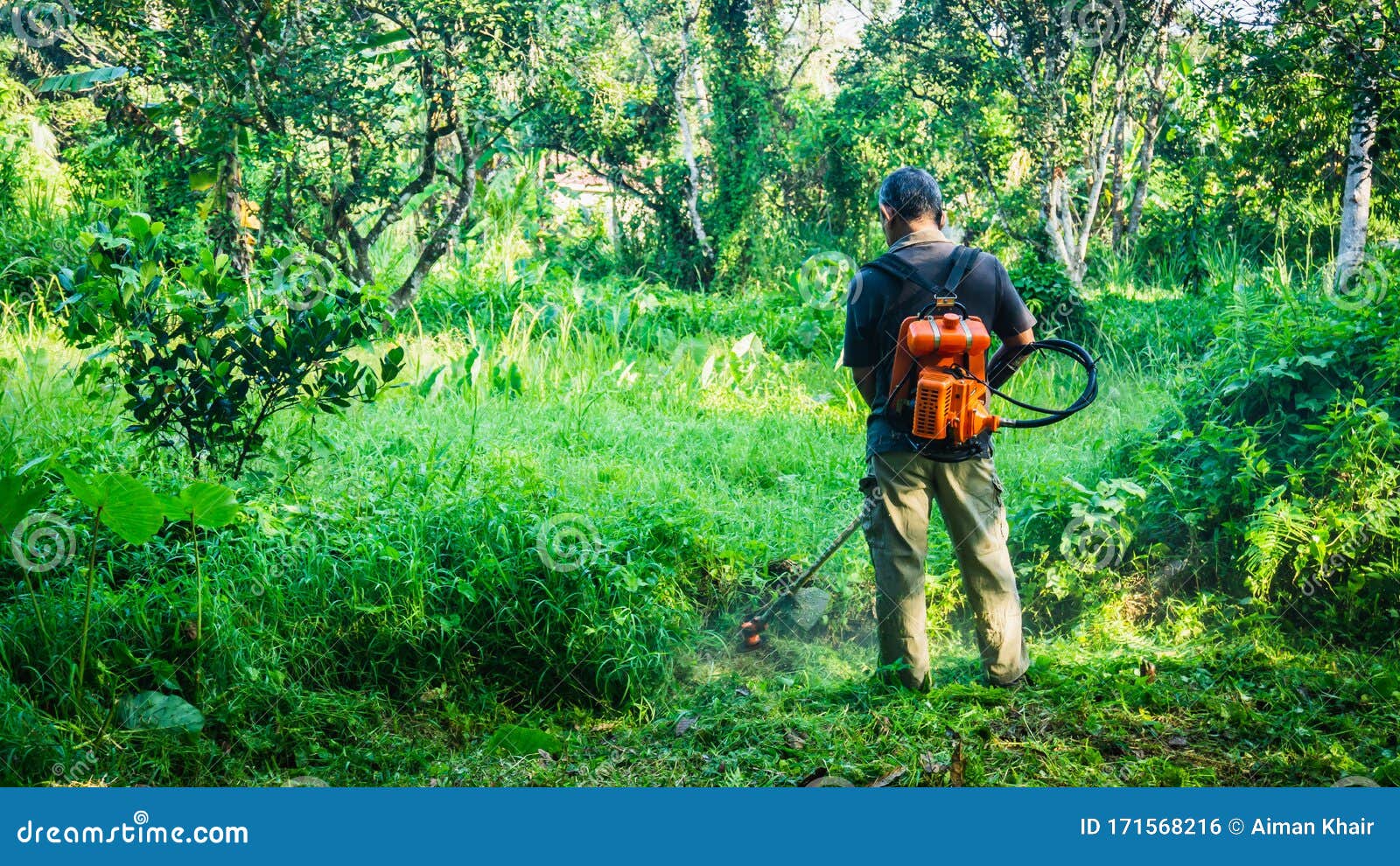 A Middle Aged Man Cutting the the Thick Bushes Using the Brush Cutter Machine Under the