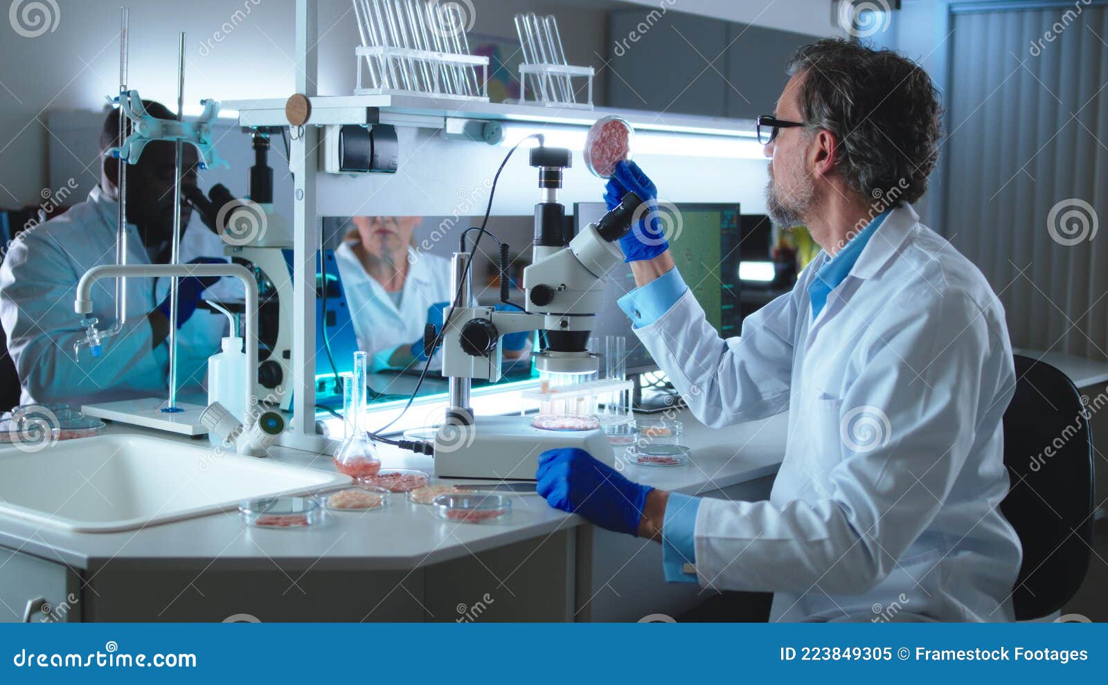 middle aged scientist examining cell meat near colleagues