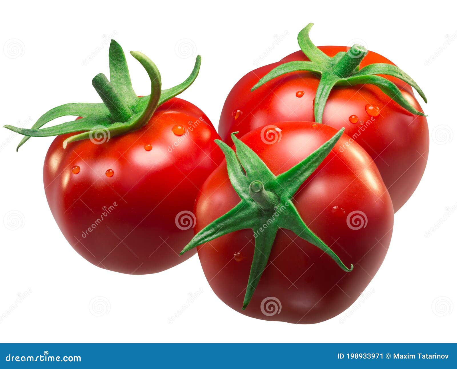 Middle Globe Heirloom Tomatoes Solanum Lycopersicum Fruit, a Group of