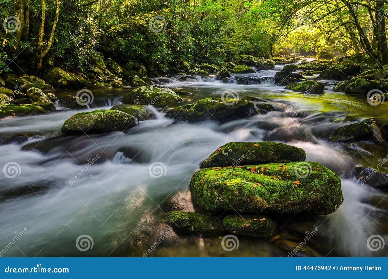 middle prong, great smoky mountains