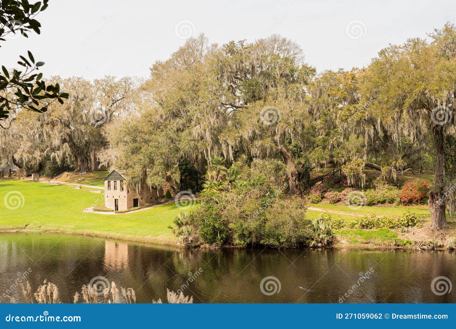 historic middleton plantation and gardens in charleston, south carolina