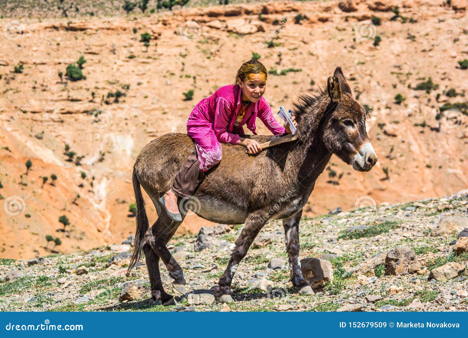 Midelt Maroc 5 Octobre 13 Fille De Berber Avec Le Henne Dans Les Cheveux Montant Sur L Ane De Bebe Image Stock Editorial Image Du Course Cheval Midelt Maroc 5 Octobre 13 Fille De Berber Avec Le Henne Dans Les Cheveux Montant Sur L Ane De Bebe Image Stock Editorial Image Du Course Cheval