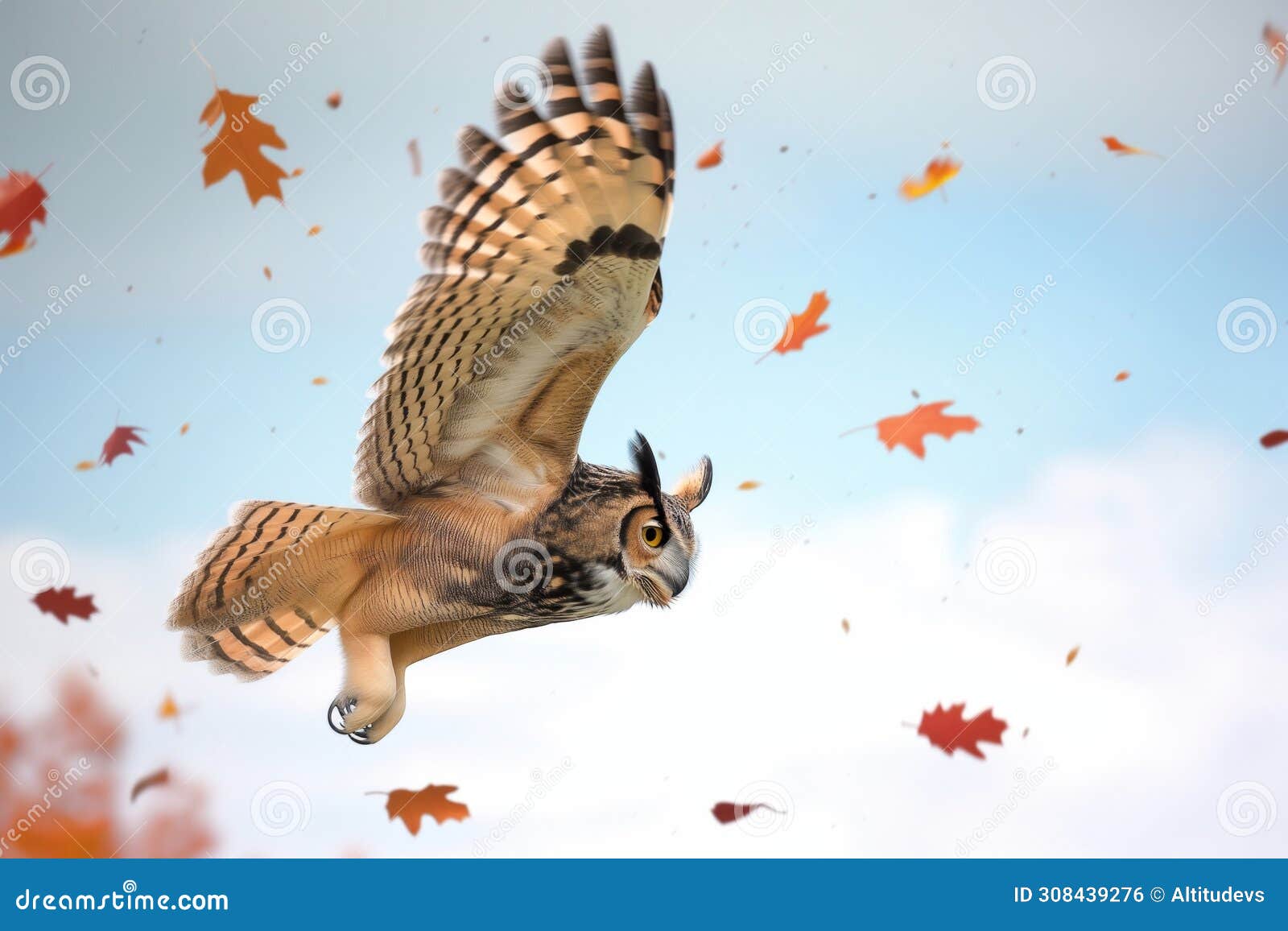 midflight owl with autumn leaves falling around it, facing the viewer