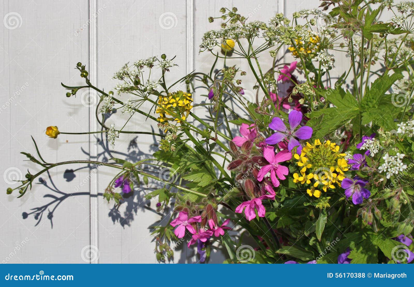 Midsummer bouquet stock photo. Image of flowers, buttercup 56170388