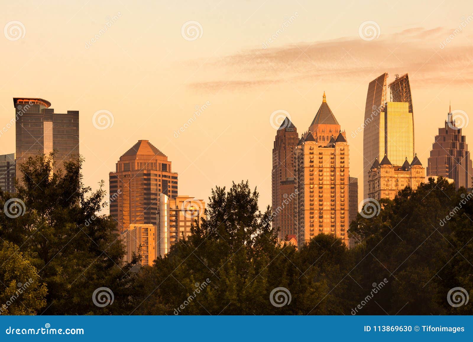 midtown skyline from piedmont park in atlanta