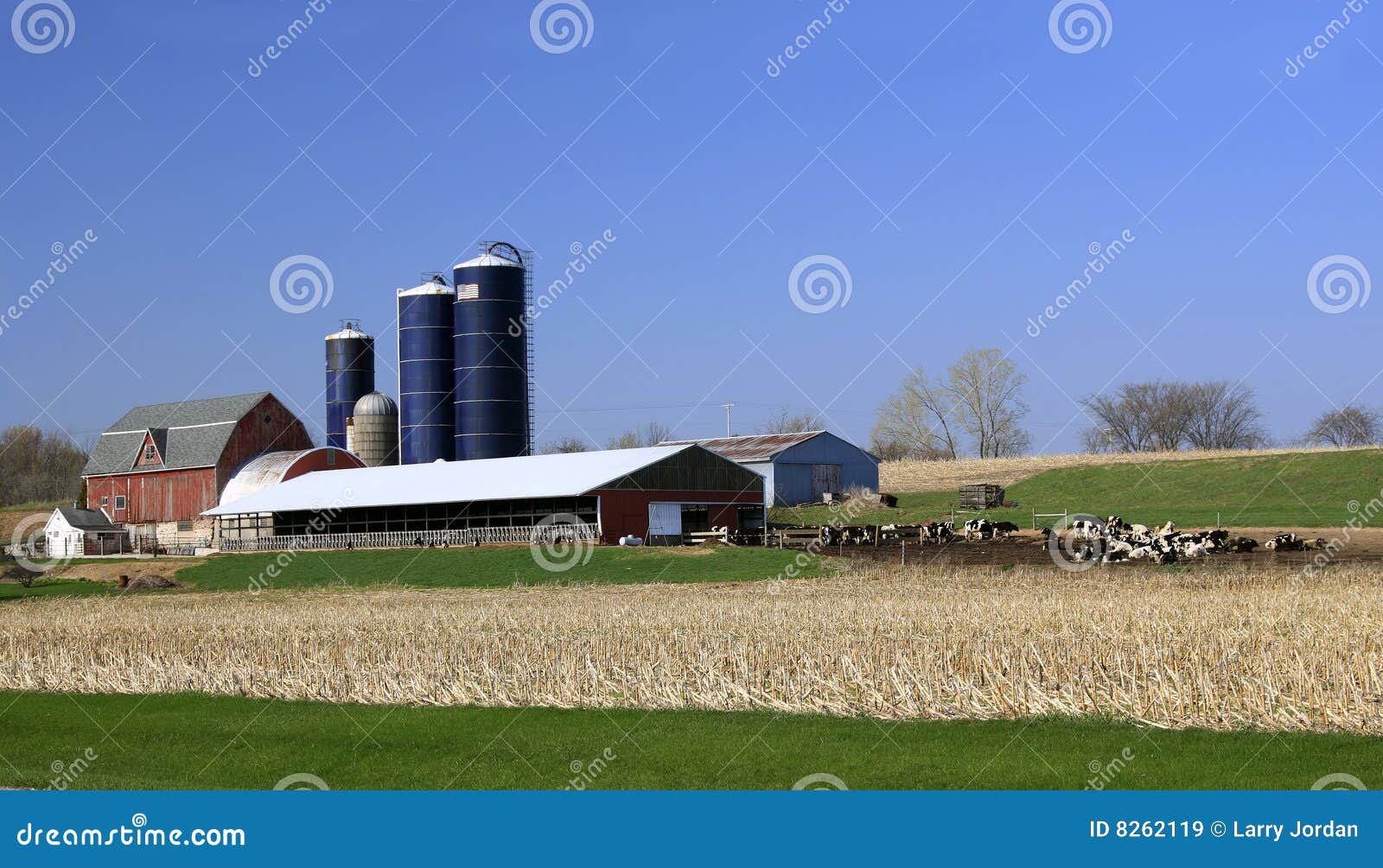 Midwest USA Dairy Farm stock image. Image of painstaking 8262119