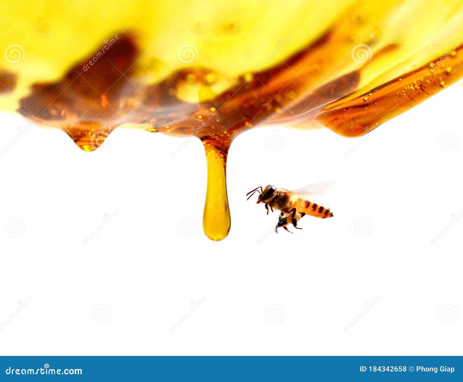 miel en verre avec l`abeille.