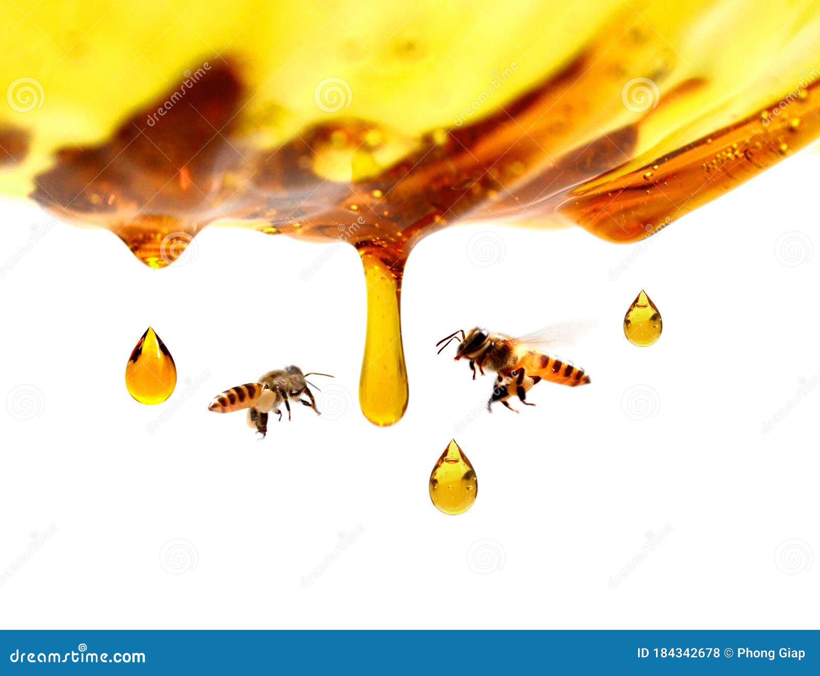 miel en verre avec l`abeille.