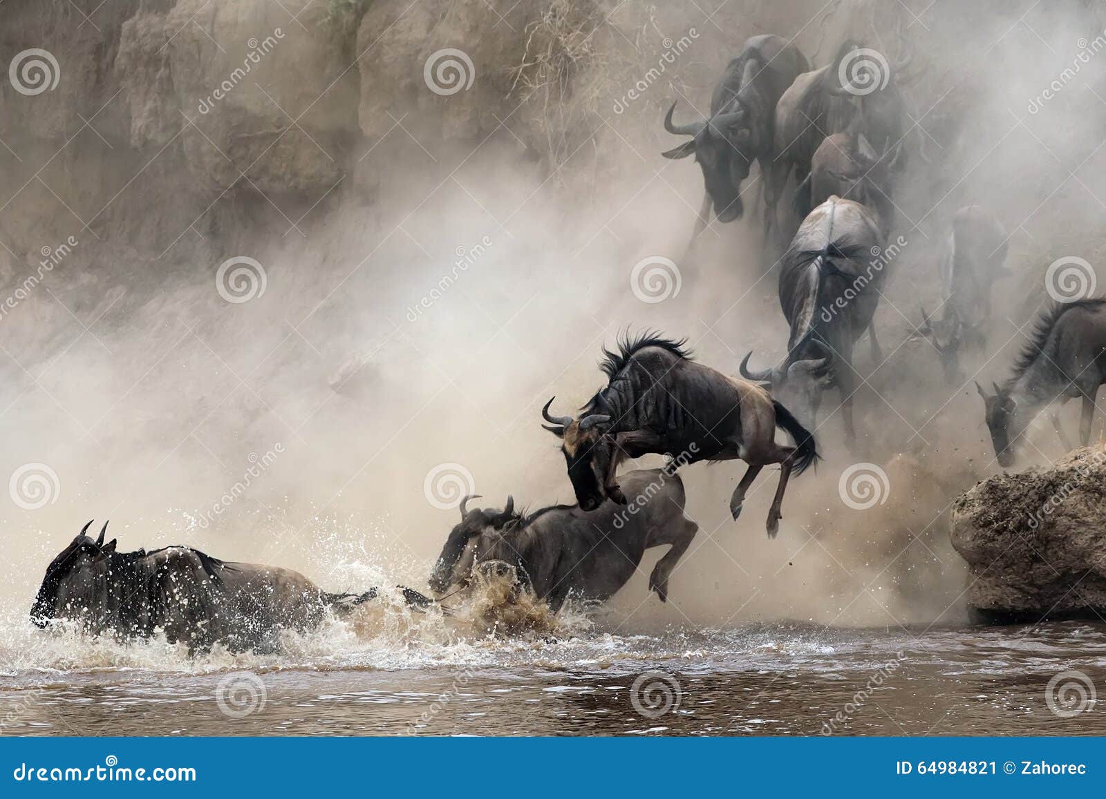 migration of wildebeest