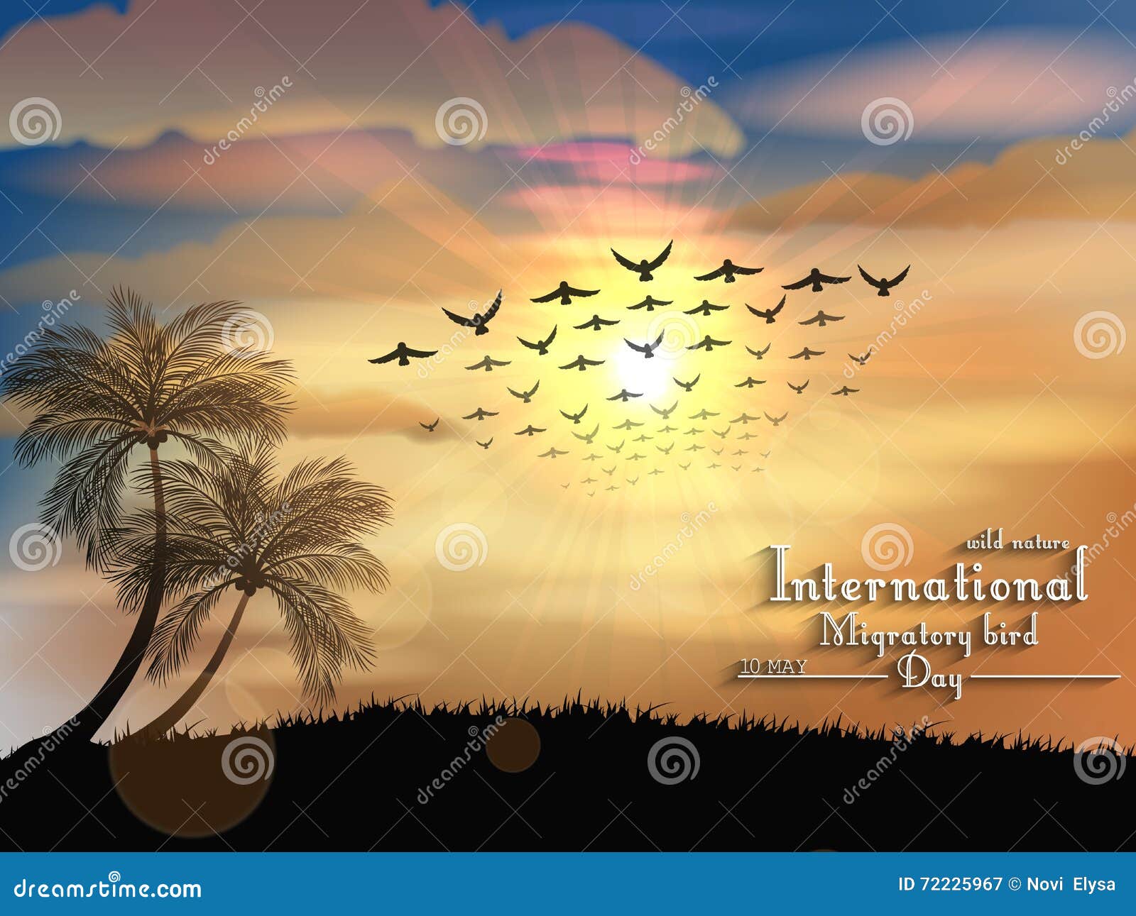 migratory birds day in sunset light