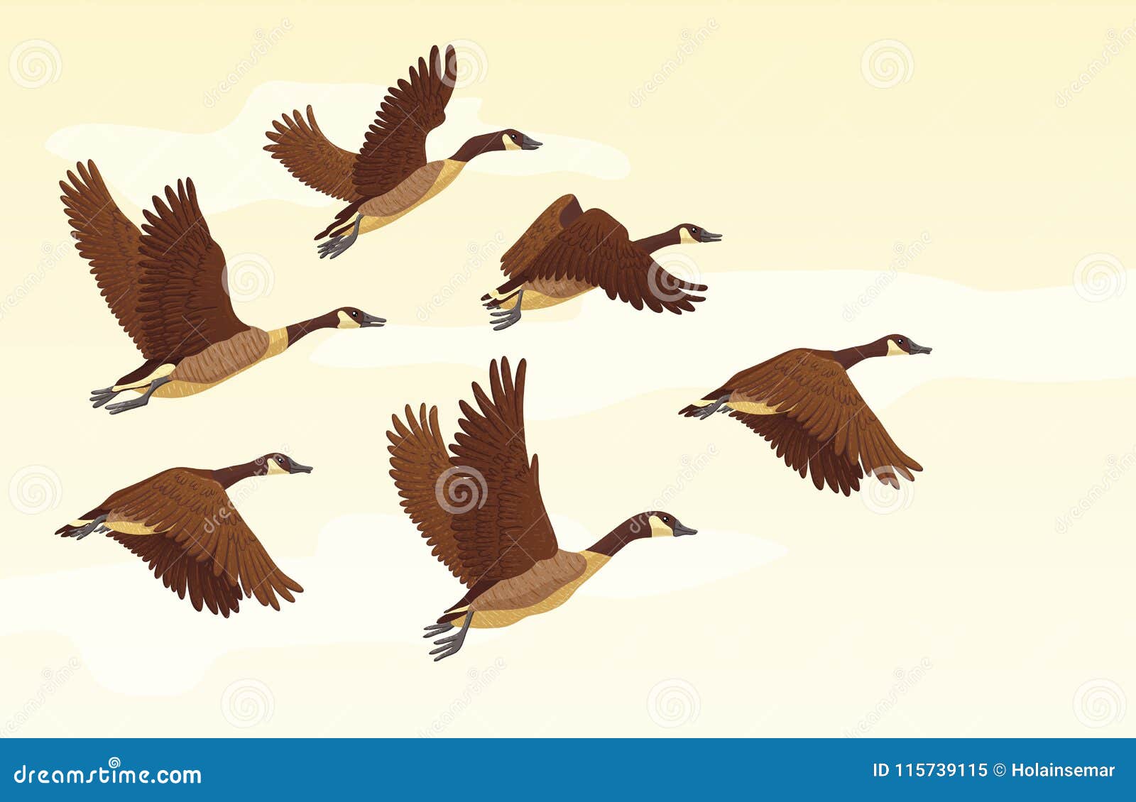 migratory geese background