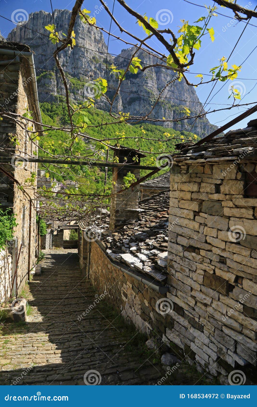 mikro papigo, zagori