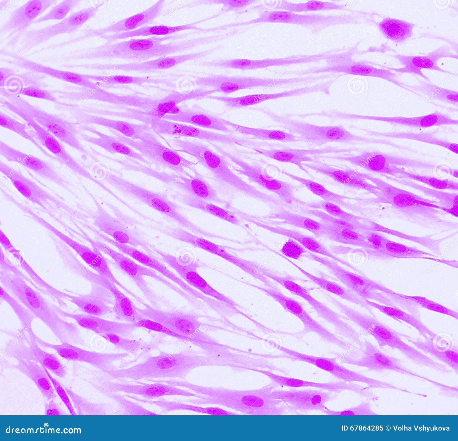 Fluorescens hud Fluorescens hud