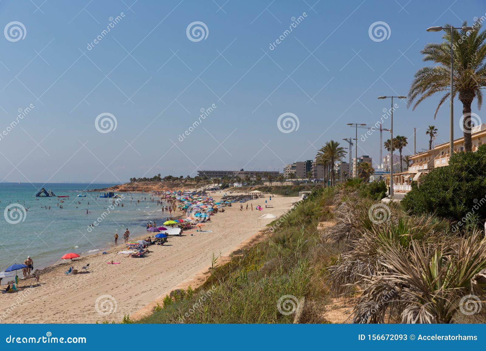 mil palmeras beach costa blanca spain with palm trees and holidaymakers with parasols in beautiful summer weather
