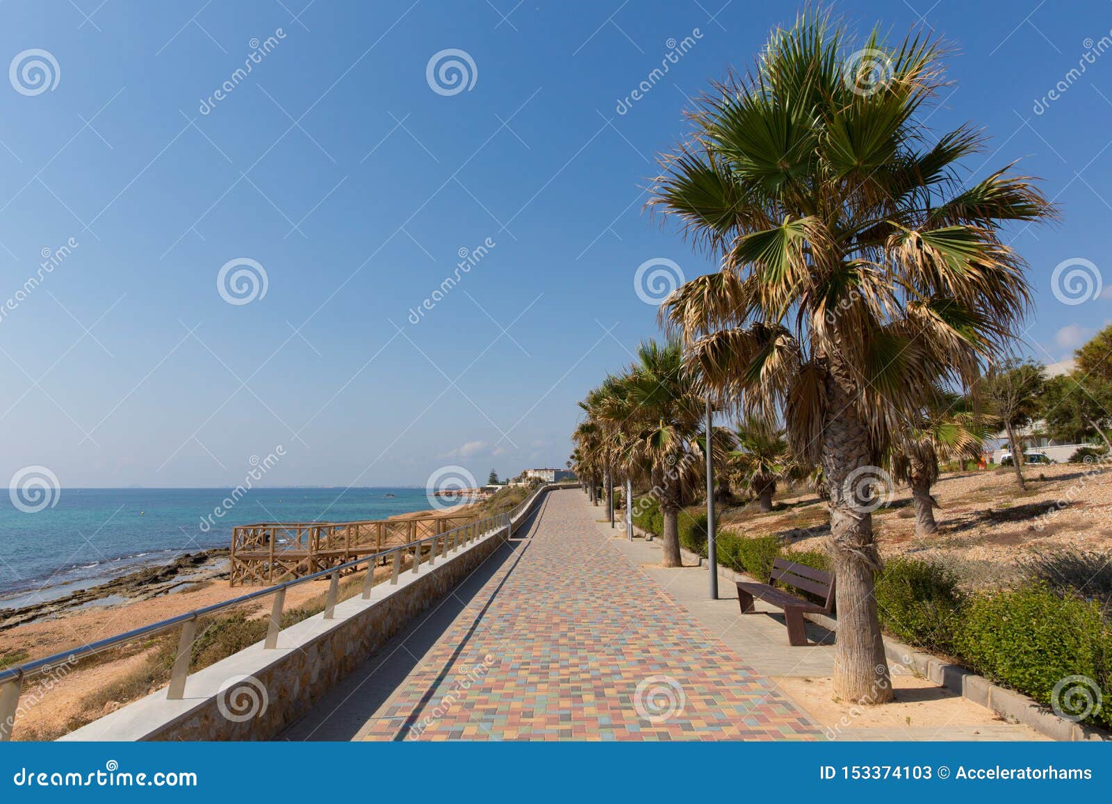 mil palmeras costa blanca spain view from the paseo promenade towards playa rocamar