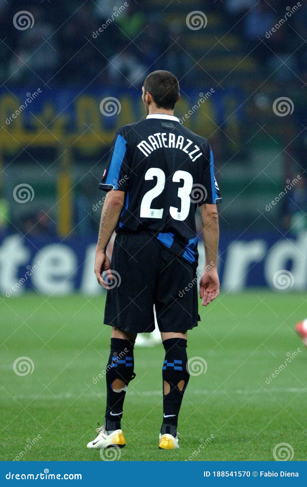Marco Materazzi - Player profile